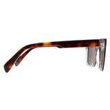 Ted Baker Garret brown tortoise sunglasses (British brand)