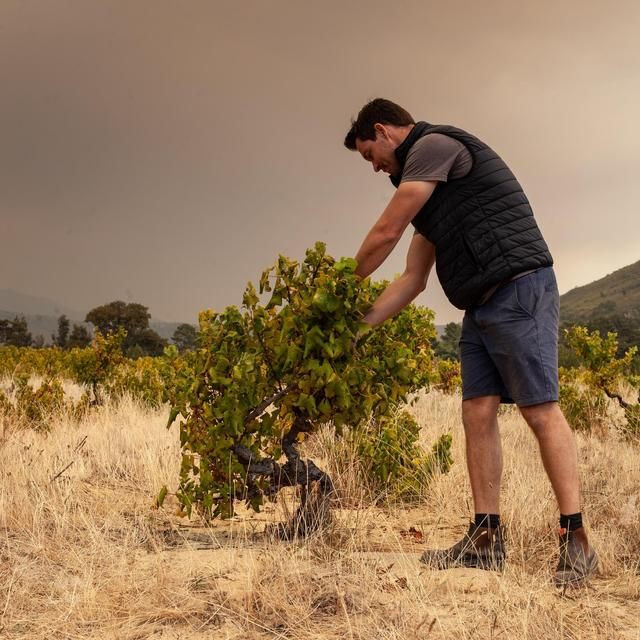 Capeography  Landscape Swartland Grenache Blanc   75cl