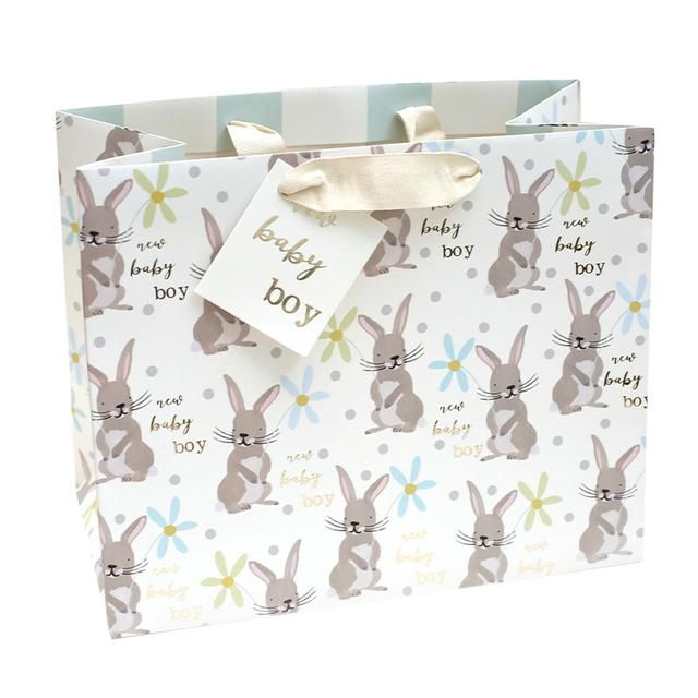 CAROLINE GARDNER Baby Boy Landscape Gift Bag Giftbag