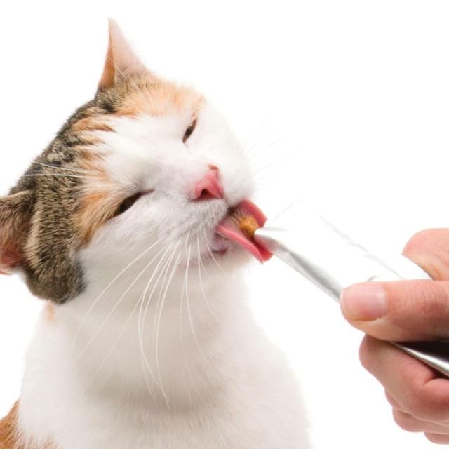 Catit Creamy Tuna Cat Treat