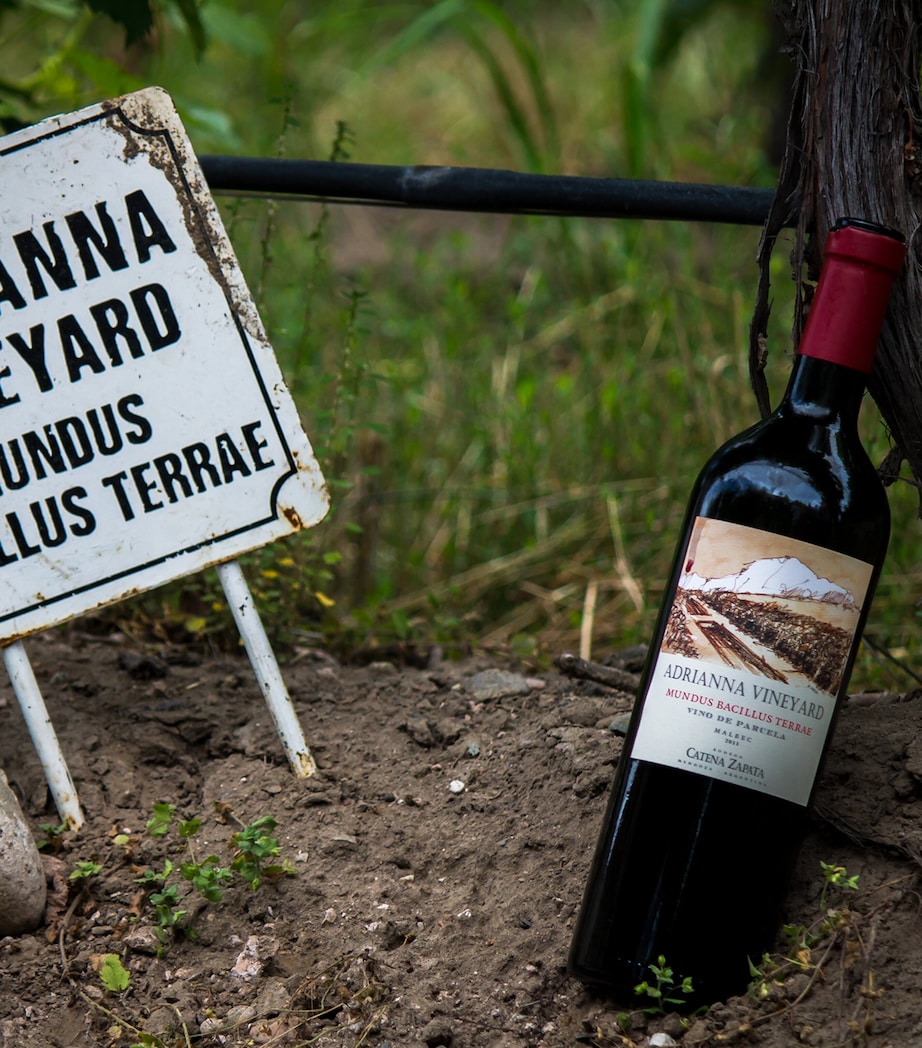 Catena Mundus Bacillus Terra Malbec 2021 75cl, UK version