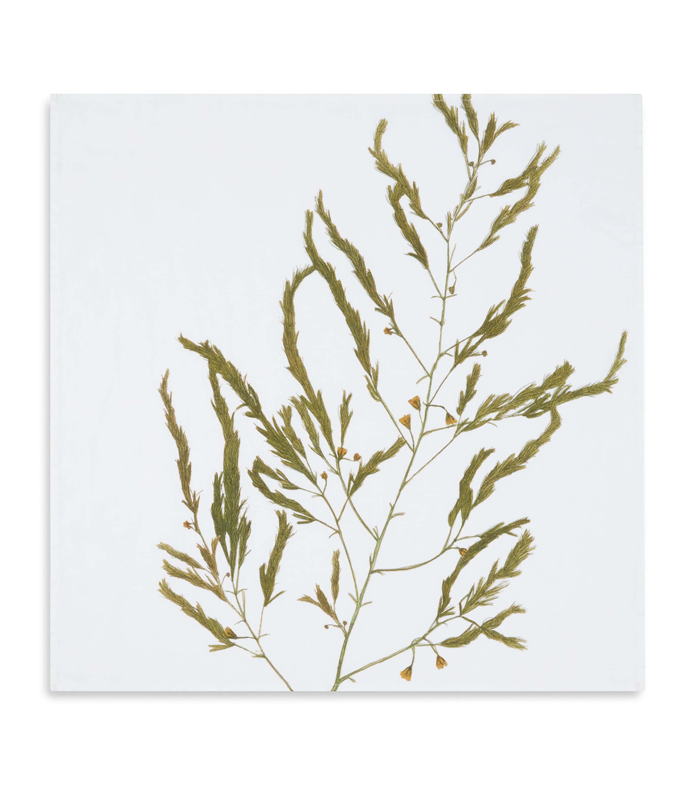 Summerill & Bishop gastronomic herb garden linen napkins 50cm x 50cm (British brand)