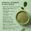 SuperSelf organic super greens powder 200g (British brand)