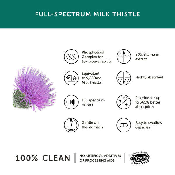 Together Health milk thistle supplement 60 capsules (British brand)