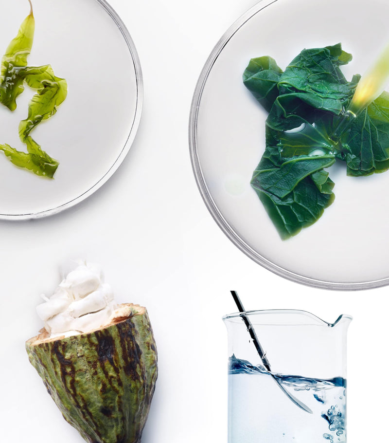 Noble Panacea Brilliant Overnight Recharge Cream 30x0.8ml, imported from the UK