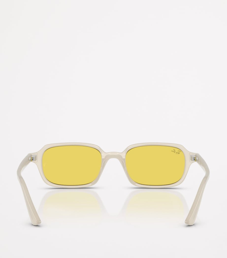 Ray-Ban sunglasses RB4455 Zuri Bio-Based, imported from the UK