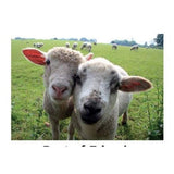 Kevin Milner Best of Friends Countryside Card GOODS Superdrug   