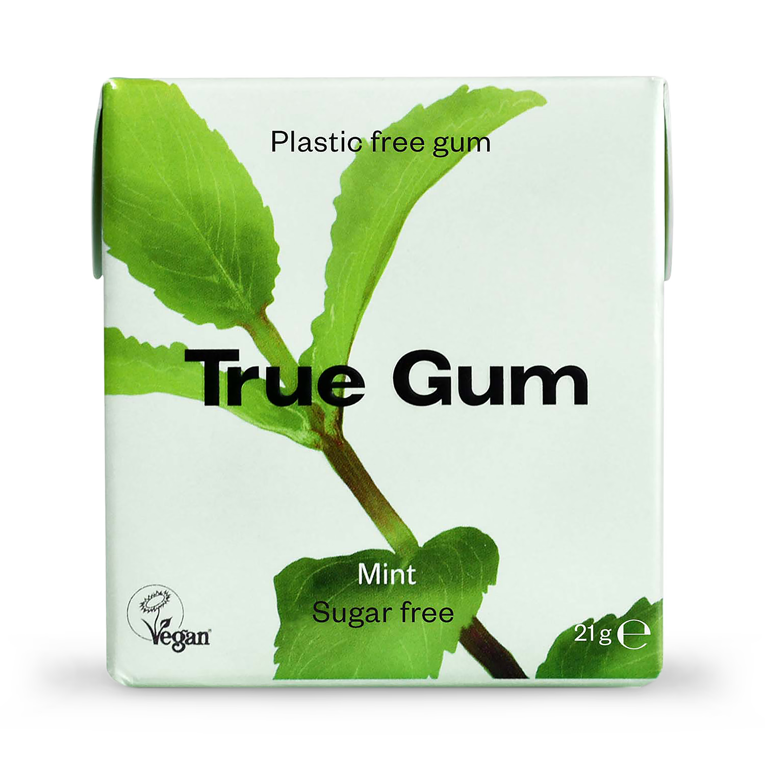 True Gum mint flavoured chewing gum 21g (British brand)
