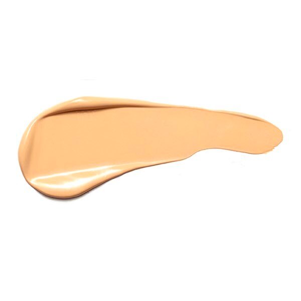 The 24H Concealer 646 GOODS Superdrug   