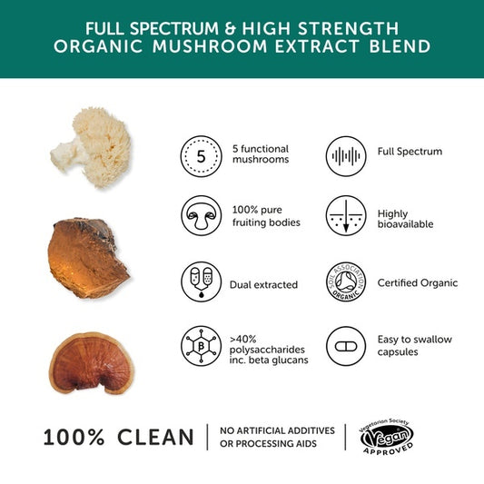 Together Health Mushroom 5 Extract - 9300 mg - Organic - x60