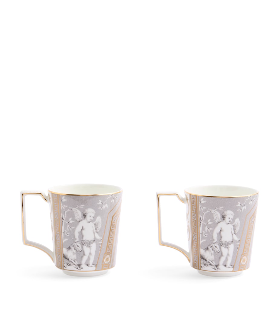 Wedgwood Renaissance set of two 300ml mugs (British brand)