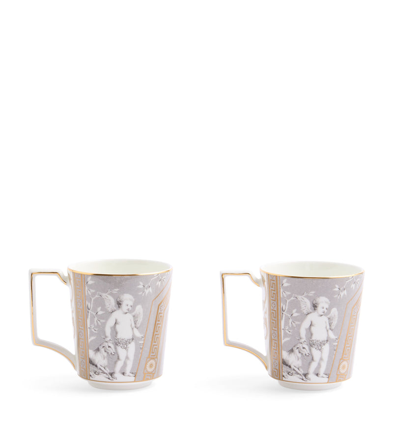Wedgwood Renaissance set of two 300ml mugs (British brand)