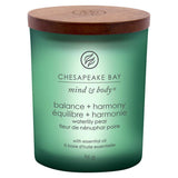 Chesapeake Bay Candle Small Jar Balance &amp;amp; Harmony