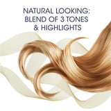Clairol Nice'n Easy Hair Dye 8WR Golden Auburn