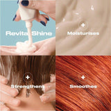 Clairol Nice'n Easy Hair Dye 8WR Golden Auburn