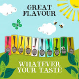 Clipper Organic Fairtrade Green Tea Bags   80 per pack