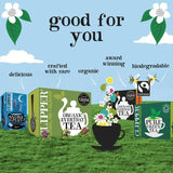 Clipper Organic Fairtrade Green Tea Bags with Lemon   20 per pack