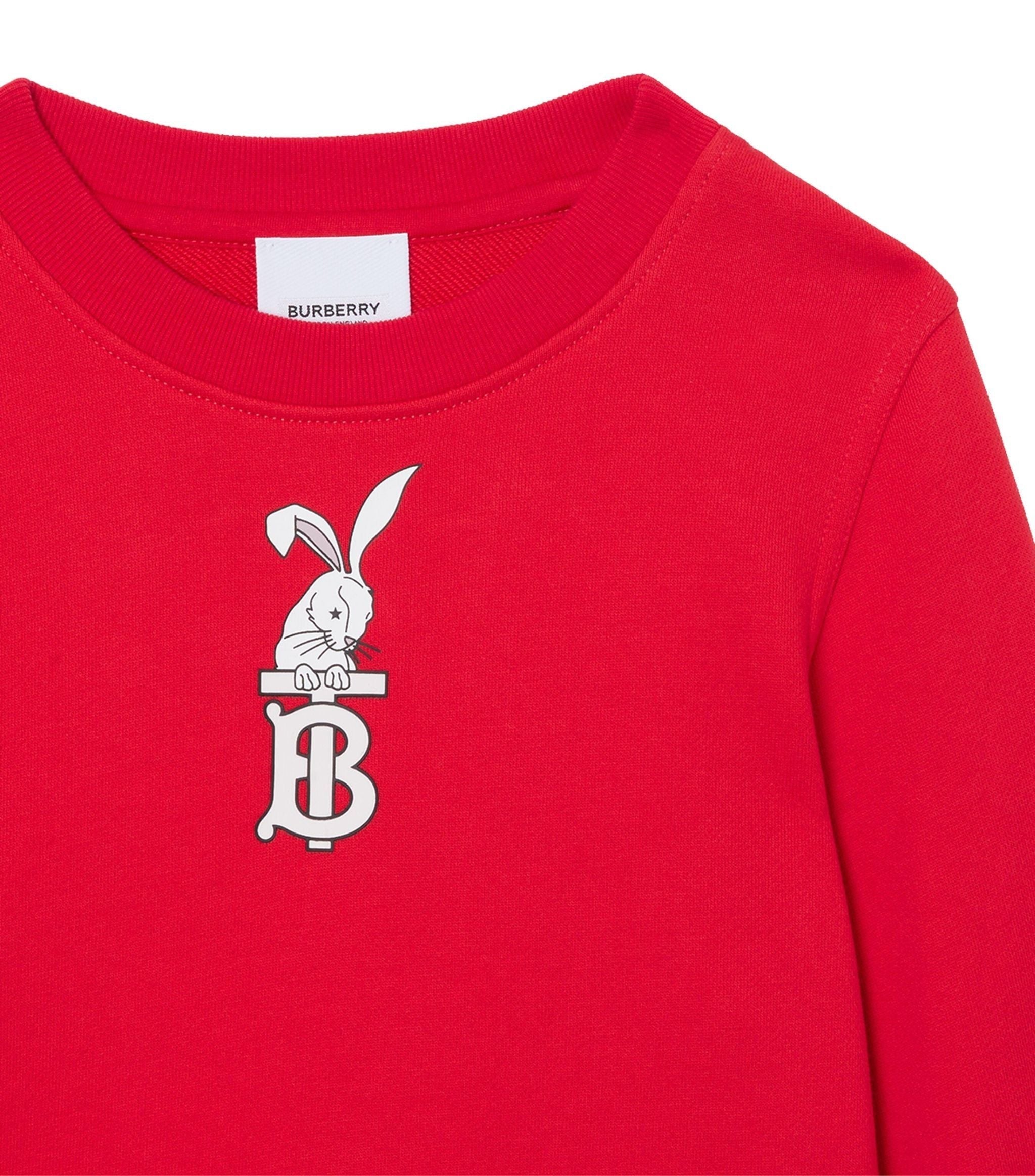 Cotton Rabbit Print Sweatshirt (3-14 Years)