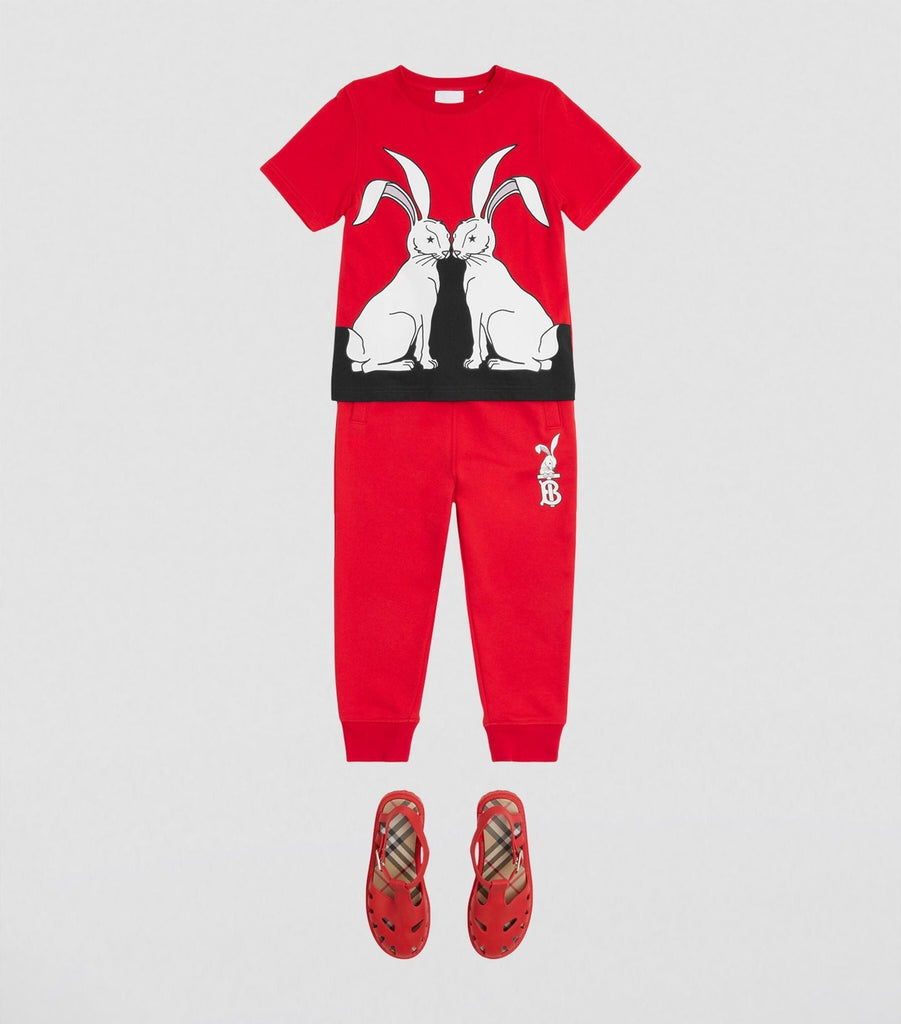 Cotton Rabbit Print T-shirt (3-14 Years)