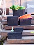 Curver Curver My Style Large Rectangular Storage Basket Anthracite 18 Litre