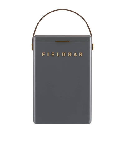 Fieldbar Getränkekühlbox mit austauschbaren Trägern, tragbare Kühlbox, 10 l