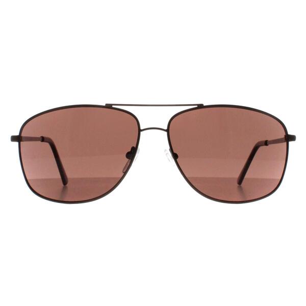 Calvin Klein CK19137S brown men sunglasses, imported from the UK