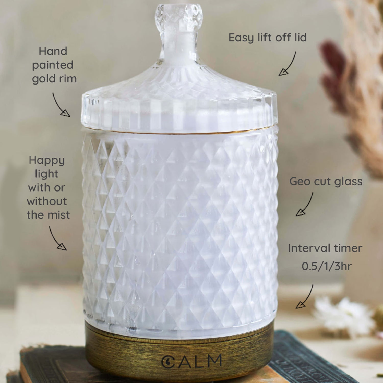 B Calm Live Calm essential oil diffuser set, imported from the UK