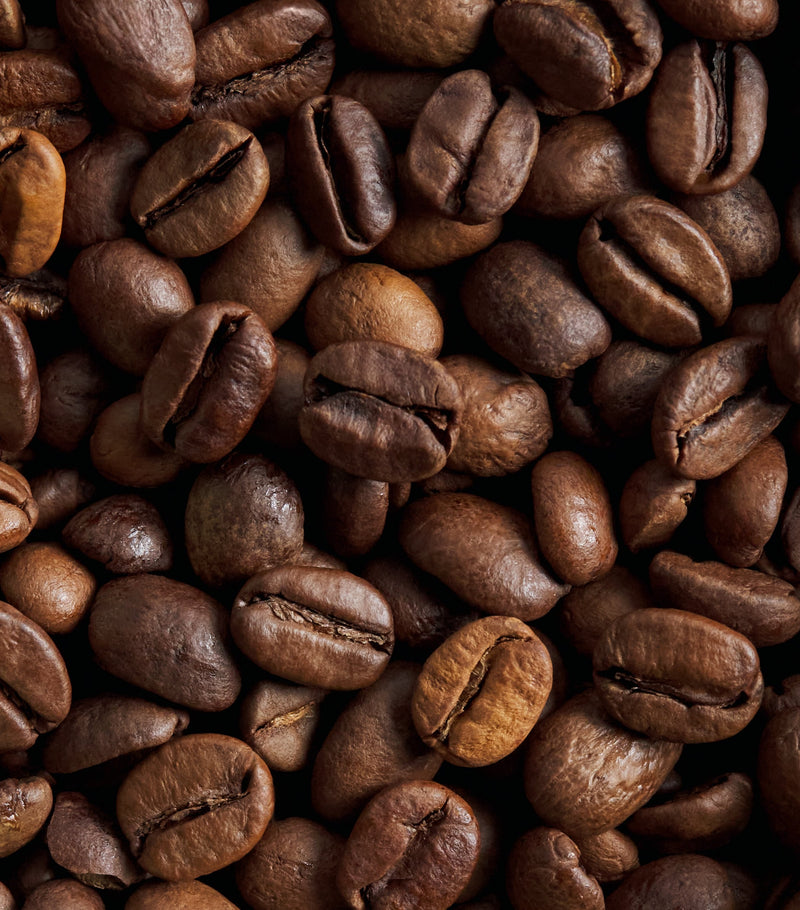 Harrods Knightsbridge Blend coffee beans 250g (British brand)