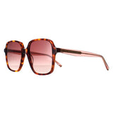 Ted Baker TB1688 women sunglasses brown gradient - British product