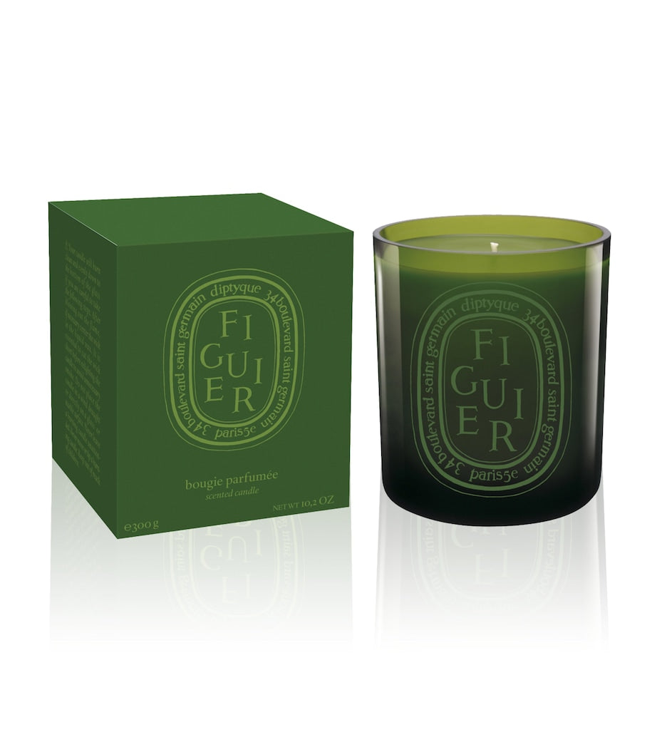 Fig Scented Candle in Coloured Glass Vessel 300g