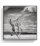Chantecaille Giraffe Luminous Eye Shade - British product