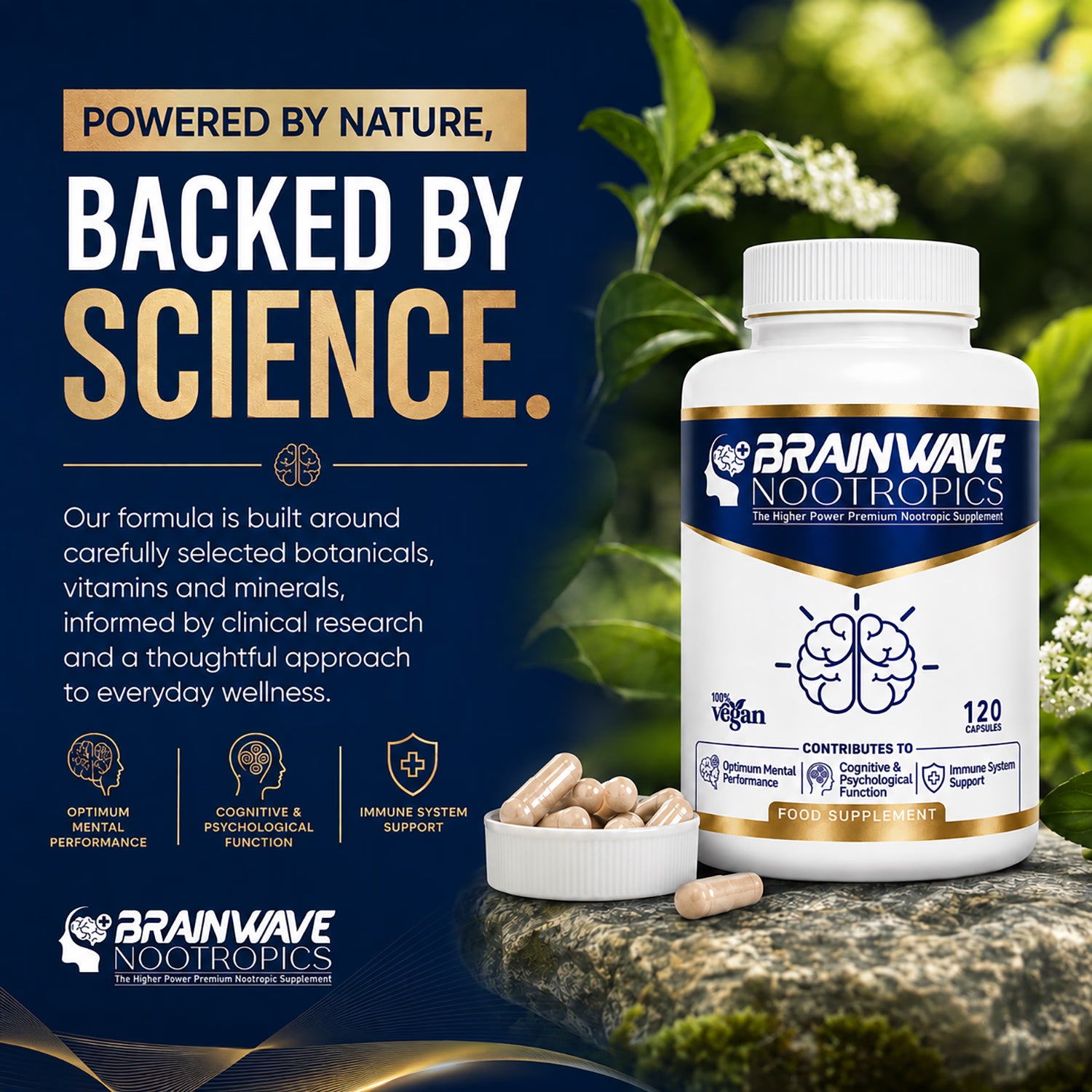 Brainwave Nootropics brain supplement complex 120 capsules (British brand)