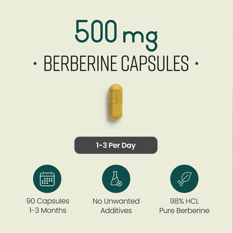 VitaBright Berberine HCL supplement 98% purity 90 capsules (British brand)