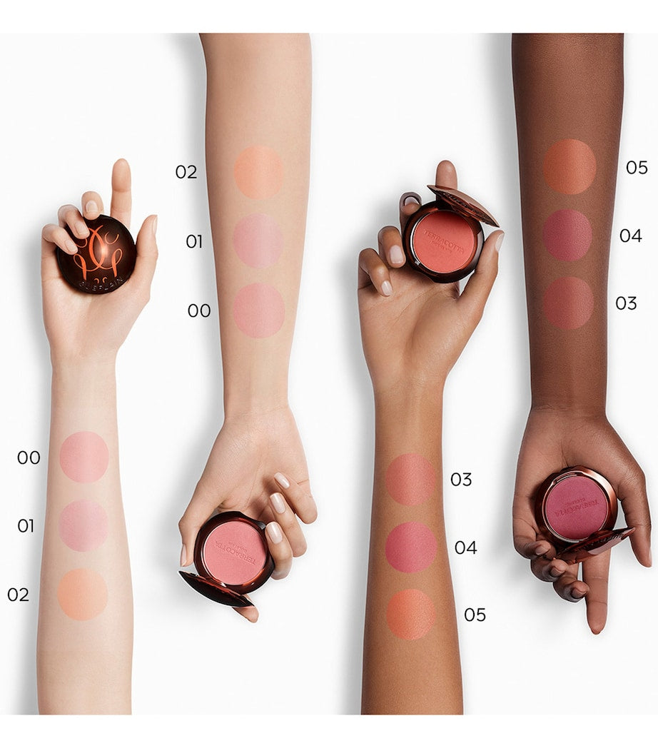 Guerlain Terracotta Blush Powder, UK version