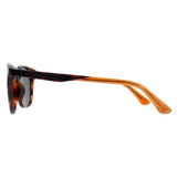 Police dark Havana round sunglasses - British product