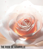 Dior Prestige Rose hand cream 50ml, UK version