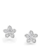 Graff white gold and diamond wild flower stud earrings, UK version