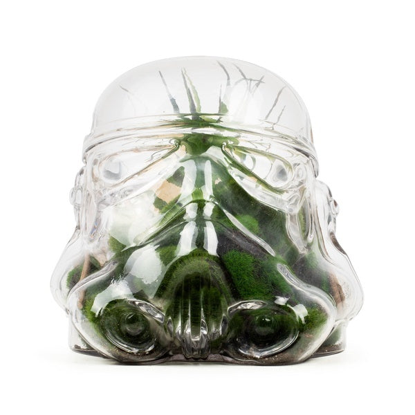 Thumbs Up Star Wars Stormtrooper glass terrarium - British product