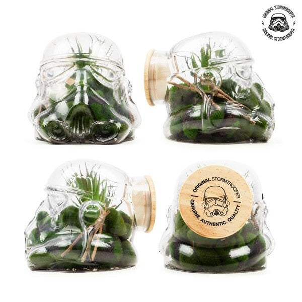 Thumbs Up Star Wars Stormtrooper glass terrarium - British product