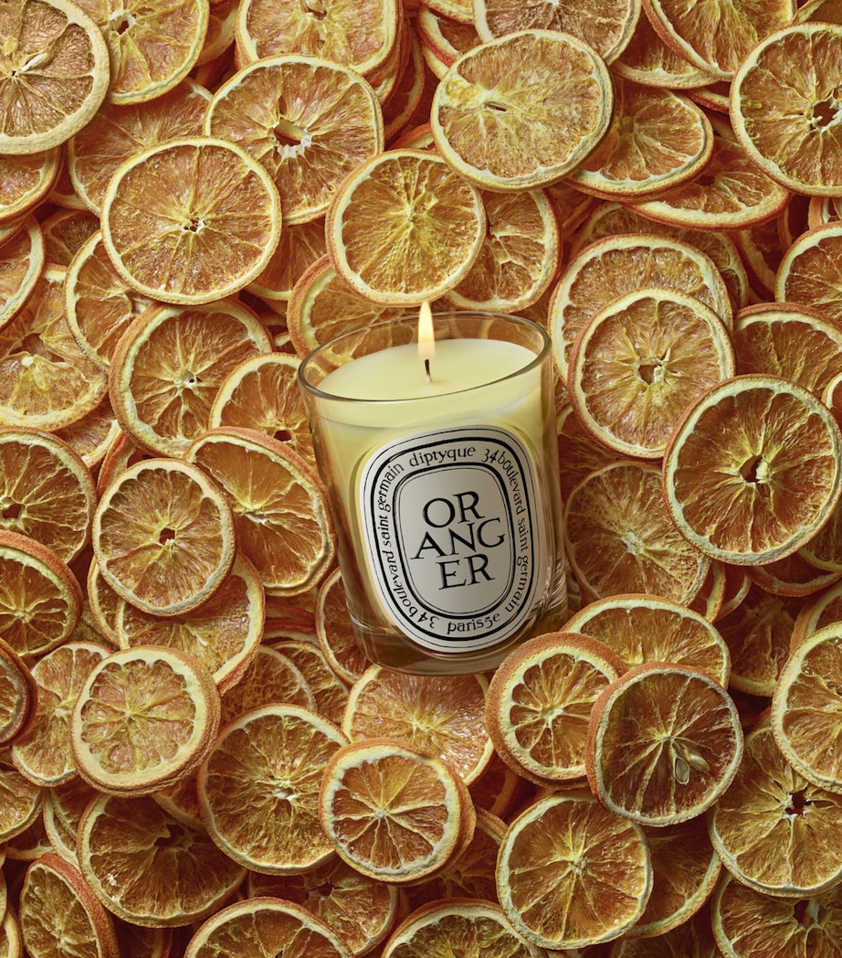 Bougie parfumée Oranger Diptyque 190g (marque britannique)
