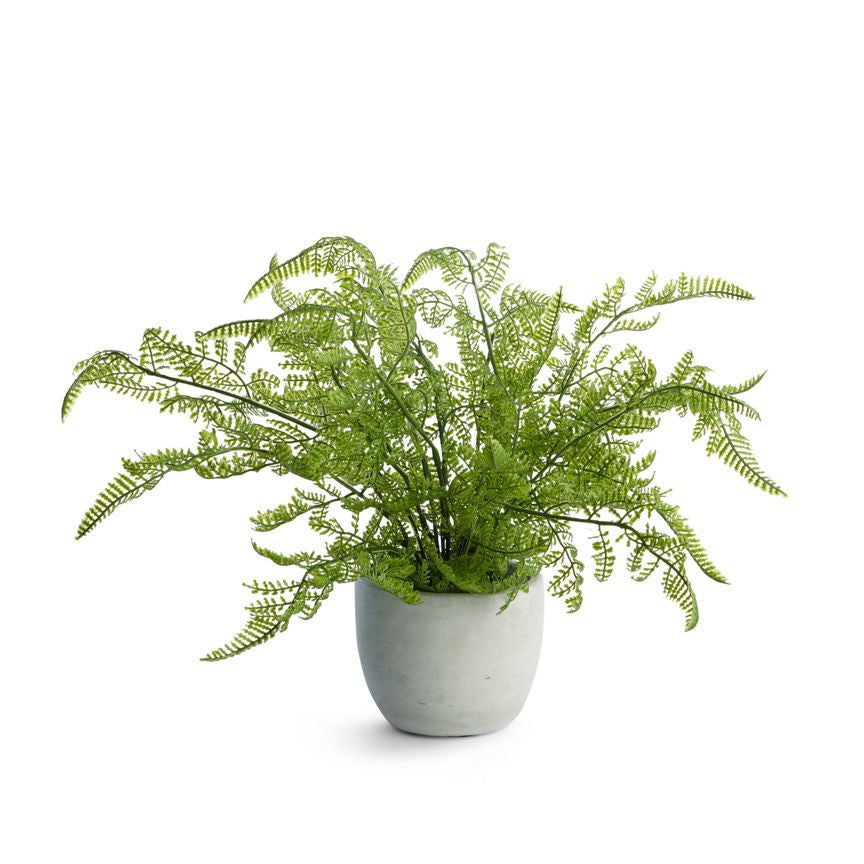 George Home Faux Fern In Grey Pot General Household ASDA   