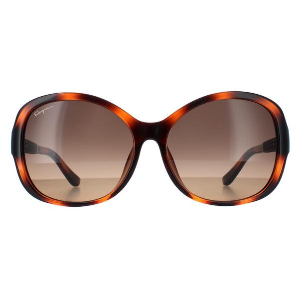 Salvatore Ferragamo sunglasses tortoise brown gradient butterfly, UK version
