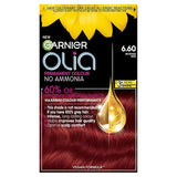 Garnier Olia 5.15 Frosted Chocolate Brown Permanent Hair Dye GOODS Superdrug Intense Red 6.6  