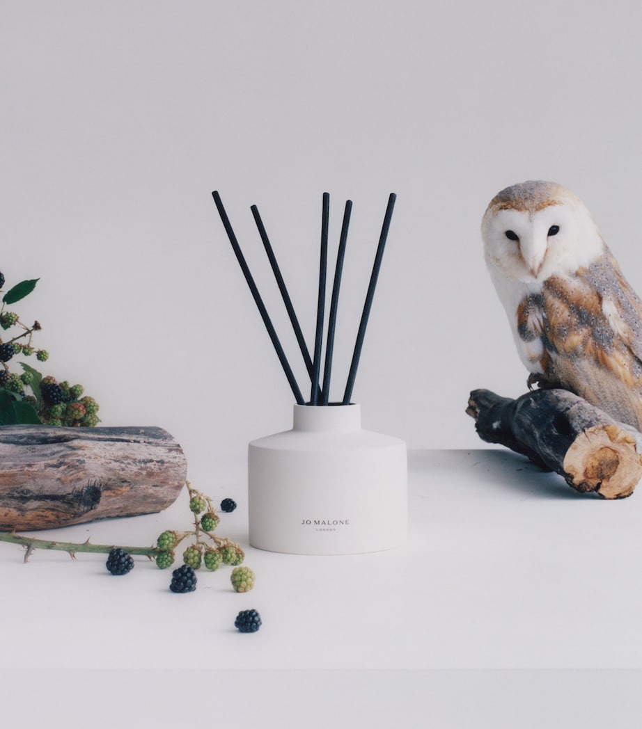 Jo Malone London Wild Berry & Bramble reed diffuser 750ml, UK version