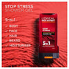 L'Oreal Paris Men Expert Stress Resist shower gel 300ml, UK version