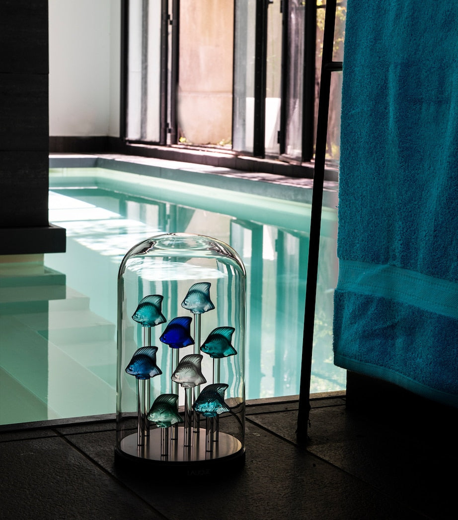 Lalique crystal fish sculpture, UK version