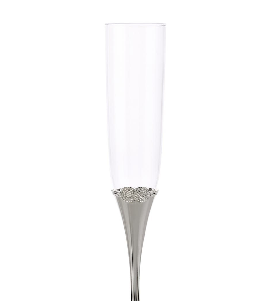 Wedgwood Vera Wang Infinity champagne flutes set of 2, UK version