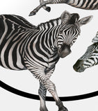 Dolce&Gabbana Casa silk-wool zebra throw 140cm x 180cm - British product