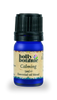 Holly Botanic calming essential oil blend 5ml, imported from the UK
