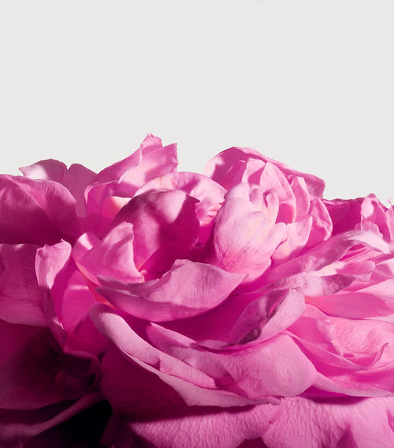 Matiere Premiere Radical Rose Extrait de Parfum 100ml - British product